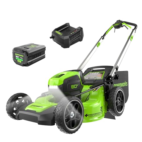 Greenworks 80V 21