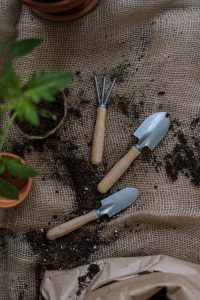 top-view-photo-of-gardening-tools-4503269-200x300.jpg